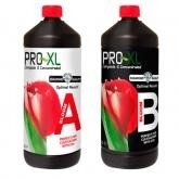 Pro-XL A&amp;B Bloom