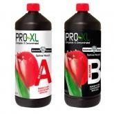 Pro-XL A&B Bloom